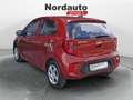 Kia Picanto Picanto 1.0 12V 5 porte Urban Arancione - thumbnail 5
