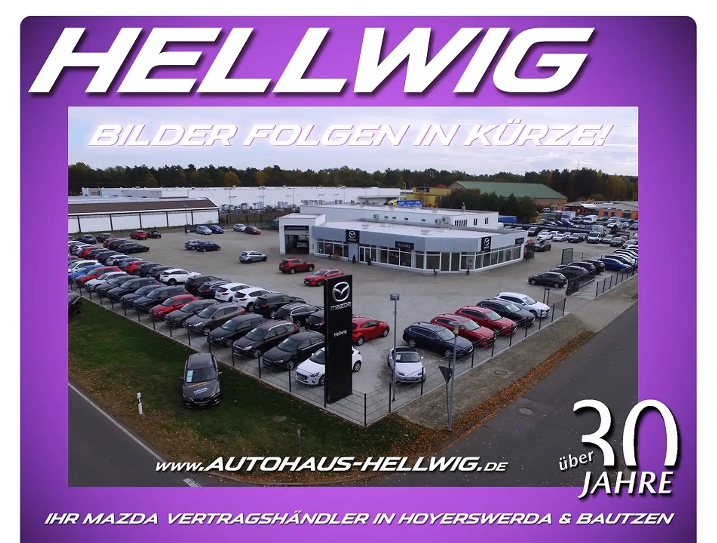 Mazda CX-60 2.5l PHEV AWD Homura alle Pakete AHK 360° Kamera Blanc - 1