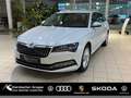 Skoda Superb Combi Style 2.0 TDI DSG AHK Kamera Klima Weiß - thumbnail 1