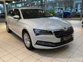 Skoda Superb Combi Style 2.0 TDI DSG AHK Kamera Klima Weiß - thumbnail 4