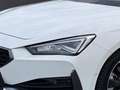 CUPRA Leon Sportstourer 1.5 eTSI LED Navi Sitzh. ACC 5JG Blanc - thumbnail 7