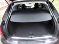 Audi A4 A4 Avant 2,0 TDI Sport quattroXenon Sportsitze Grau - thumbnail 5