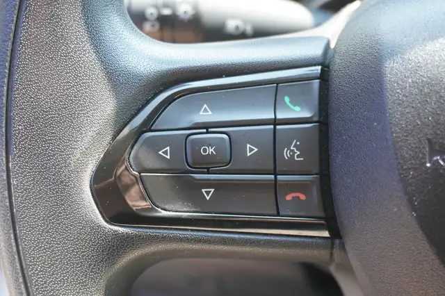 Fiat Ducato view 12