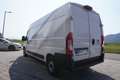 Fiat Ducato  33 140 Multijet L3H2  Klima/Kam/PDC/Navi Weiß - thumbnail 4