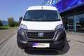 Fiat Ducato  33 140 Multijet L3H2  Klima/Kam/PDC/Navi Weiß - thumbnail 2