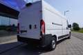 Fiat Ducato  33 140 Multijet L3H2  Klima/Kam/PDC/Navi Weiß - thumbnail 5