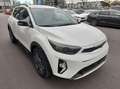 Kia Stonic Nightline Edition 1.0T 48V Navigationssys Weiß - thumbnail 4