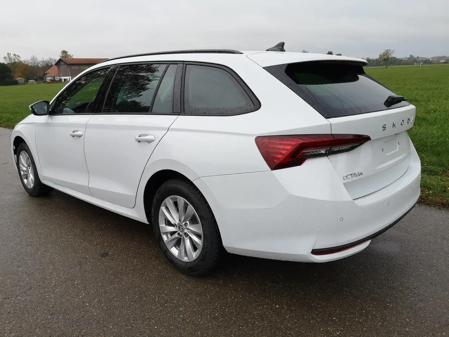 Skoda Octavia Combi 2.0 TDI 110 kW Selection Kombi DSG Navi P... Weiß - 2