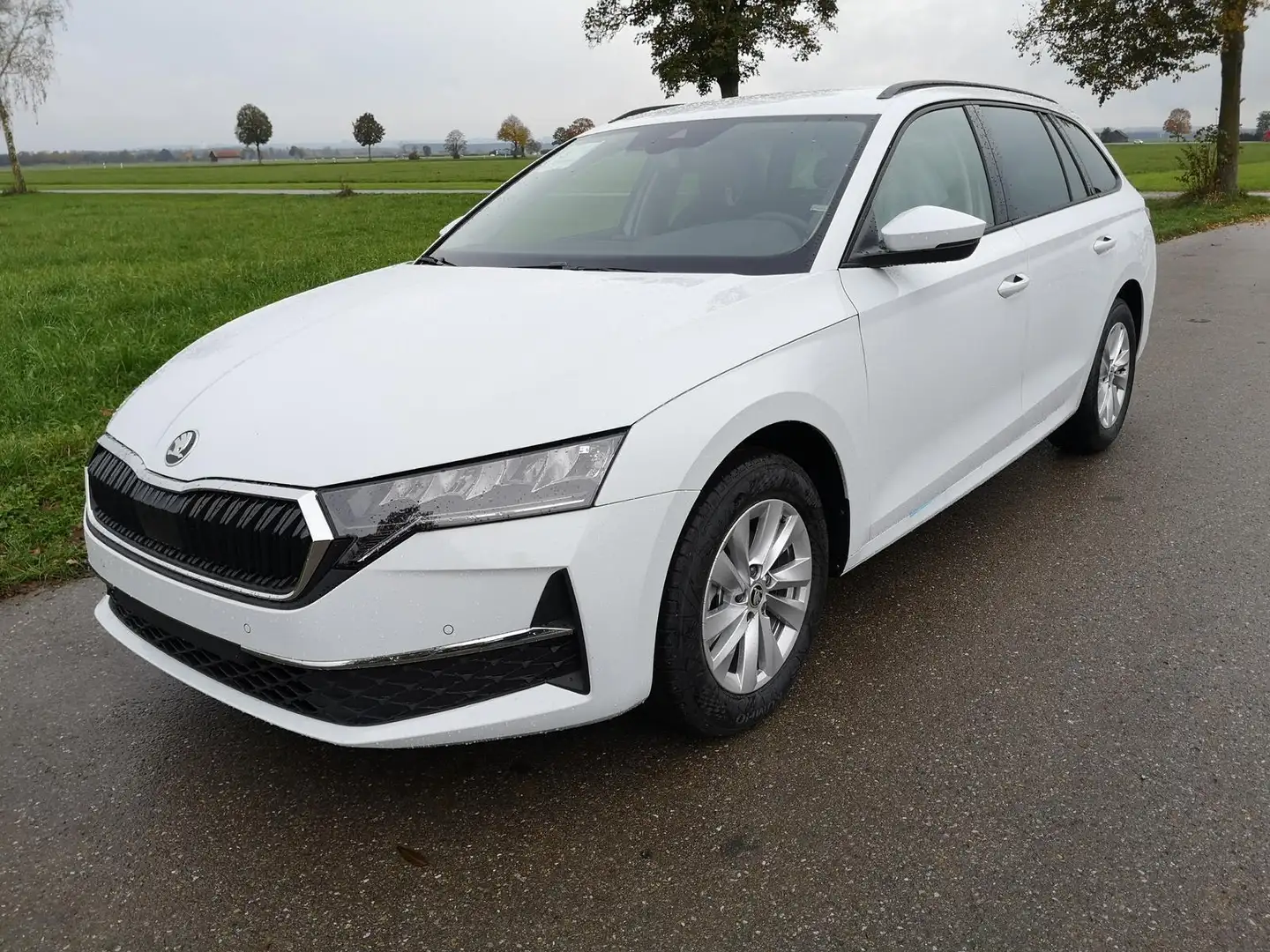 Skoda Octavia Combi 2.0 TDI 110 kW Selection Kombi DSG Navi P... Weiß - 1