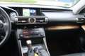 Lexus IS 300 300h Luxury Line 1e EIG_ADAP-LED_ADAP-CRUIS_PANO_C Grau - thumbnail 14