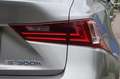 Lexus IS 300 300h Luxury Line 1e EIG_ADAP-LED_ADAP-CRUIS_PANO_C Grau - thumbnail 35