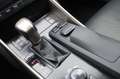 Lexus IS 300 300h Luxury Line 1e EIG_ADAP-LED_ADAP-CRUIS_PANO_C Grau - thumbnail 29