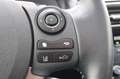Lexus IS 300 300h Luxury Line 1e EIG_ADAP-LED_ADAP-CRUIS_PANO_C Grau - thumbnail 24