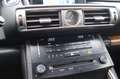 Lexus IS 300 300h Luxury Line 1e EIG_ADAP-LED_ADAP-CRUIS_PANO_C Grau - thumbnail 25