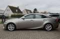 Lexus IS 300 300h Luxury Line 1e EIG_ADAP-LED_ADAP-CRUIS_PANO_C Grau - thumbnail 5