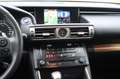 Lexus IS 300 300h Luxury Line 1e EIG_ADAP-LED_ADAP-CRUIS_PANO_C Grau - thumbnail 13