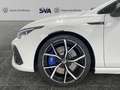 Volkswagen Golf R 2.0TSI 320CV DSG 4Motion Performance Pack Bianco - thumbnail 6