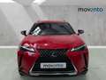 Lexus UX 250h Business City 2WD Rojo - thumbnail 11