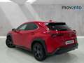 Lexus UX 250h Business City 2WD Rojo - thumbnail 2