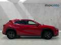 Lexus UX 250h Business City 2WD Rojo - thumbnail 3