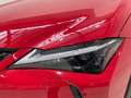 Lexus UX 250h Business City 2WD Rojo - thumbnail 12
