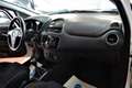 Fiat Punto 1.4 8V 5p. Natural Power Lounge Blanc - thumbnail 26