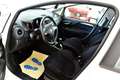 Fiat Punto 1.4 8V 5p. Natural Power Lounge Bianco - thumbnail 5