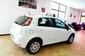 Fiat Punto 1.4 8V 5p. Natural Power Lounge Bianco - thumbnail 3