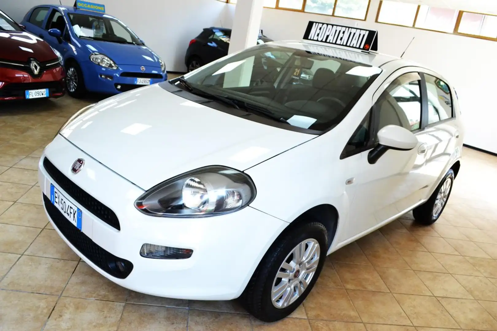 Fiat Punto 1.4 8V 5p. Natural Power Lounge Bianco - 1