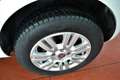 Fiat Punto 1.4 8V 5p. Natural Power Lounge Bianco - thumbnail 15