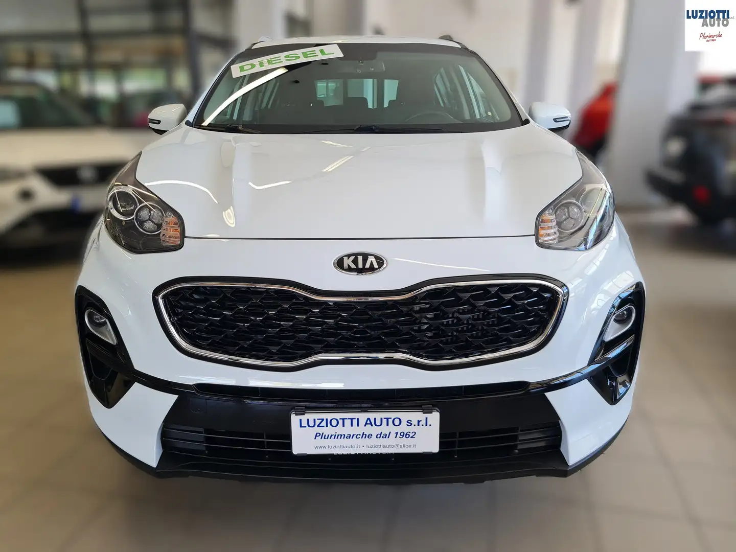 Kia Sportage SPORTAGE 1.6 CRDI BUSINESS CLASS 2WD 115CV Bianco - 1