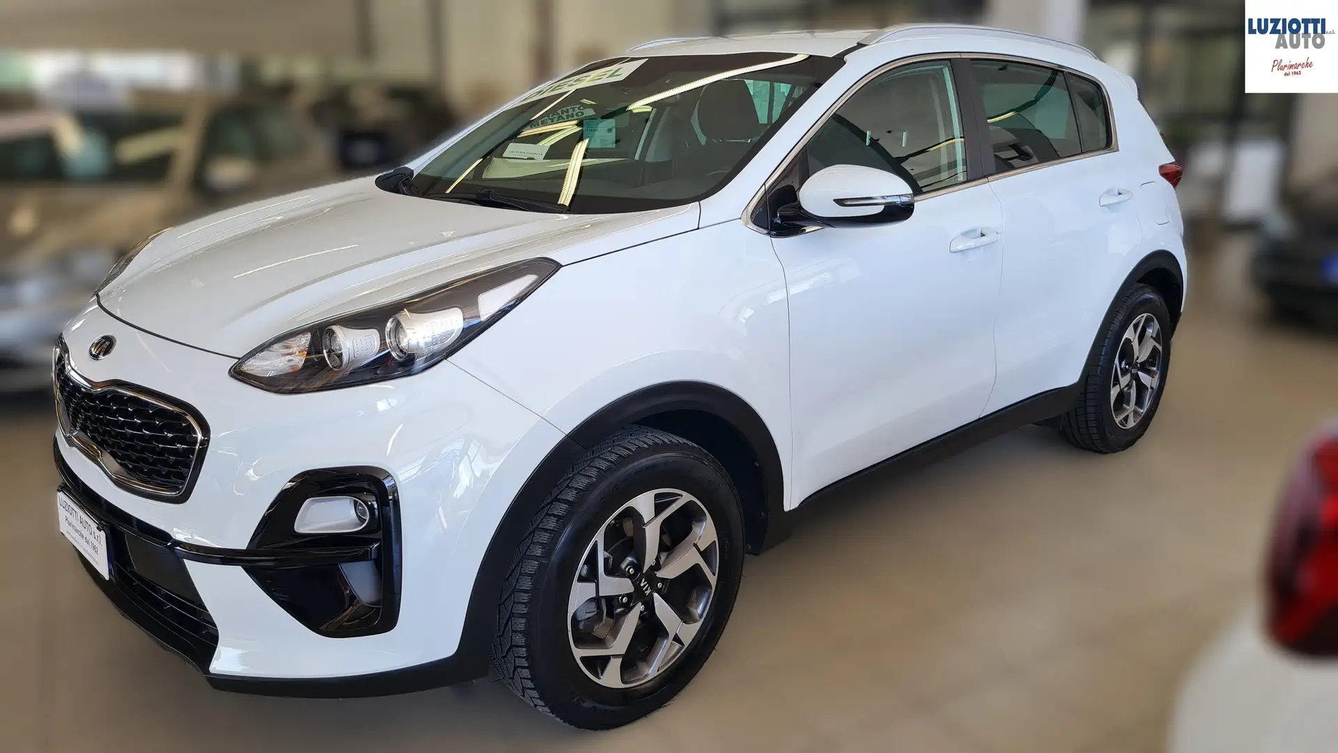 Kia Sportage SPORTAGE 1.6 CRDI BUSINESS CLASS 2WD 115CV Bianco - 2