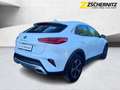 Kia XCeed 1.6 GDI PHEV Vision LED+Navi+2xKlima+KAM Bianco - thumbnail 3