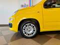 Fiat New Panda Panda 1.0 FireFly S&S Hybrid Gelb - thumbnail 5