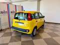 Fiat New Panda Panda 1.0 FireFly S&S Hybrid Gelb - thumbnail 14