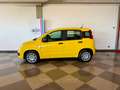 Fiat New Panda Panda 1.0 FireFly S&S Hybrid Gelb - thumbnail 4