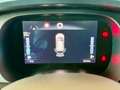 Fiat New Panda Panda 1.0 FireFly S&S Hybrid Gelb - thumbnail 19