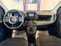 Fiat New Panda Panda 1.0 FireFly S&S Hybrid Gelb - thumbnail 16