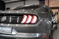 Ford Mustang Ford Mustang 2.3 Schalter|KLAPPEN-AGA|B&O|NAVI Gris - thumbnail 8
