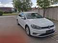 Volkswagen Golf Golf Comfortline 1,0 TSI Comfortline Weiß - thumbnail 3
