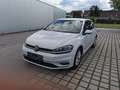 Volkswagen Golf Golf Comfortline 1,0 TSI Comfortline Weiß - thumbnail 1