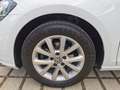 Volkswagen Golf Golf Comfortline 1,0 TSI Comfortline Weiß - thumbnail 16