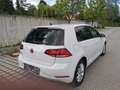 Volkswagen Golf Golf Comfortline 1,0 TSI Comfortline Weiß - thumbnail 4