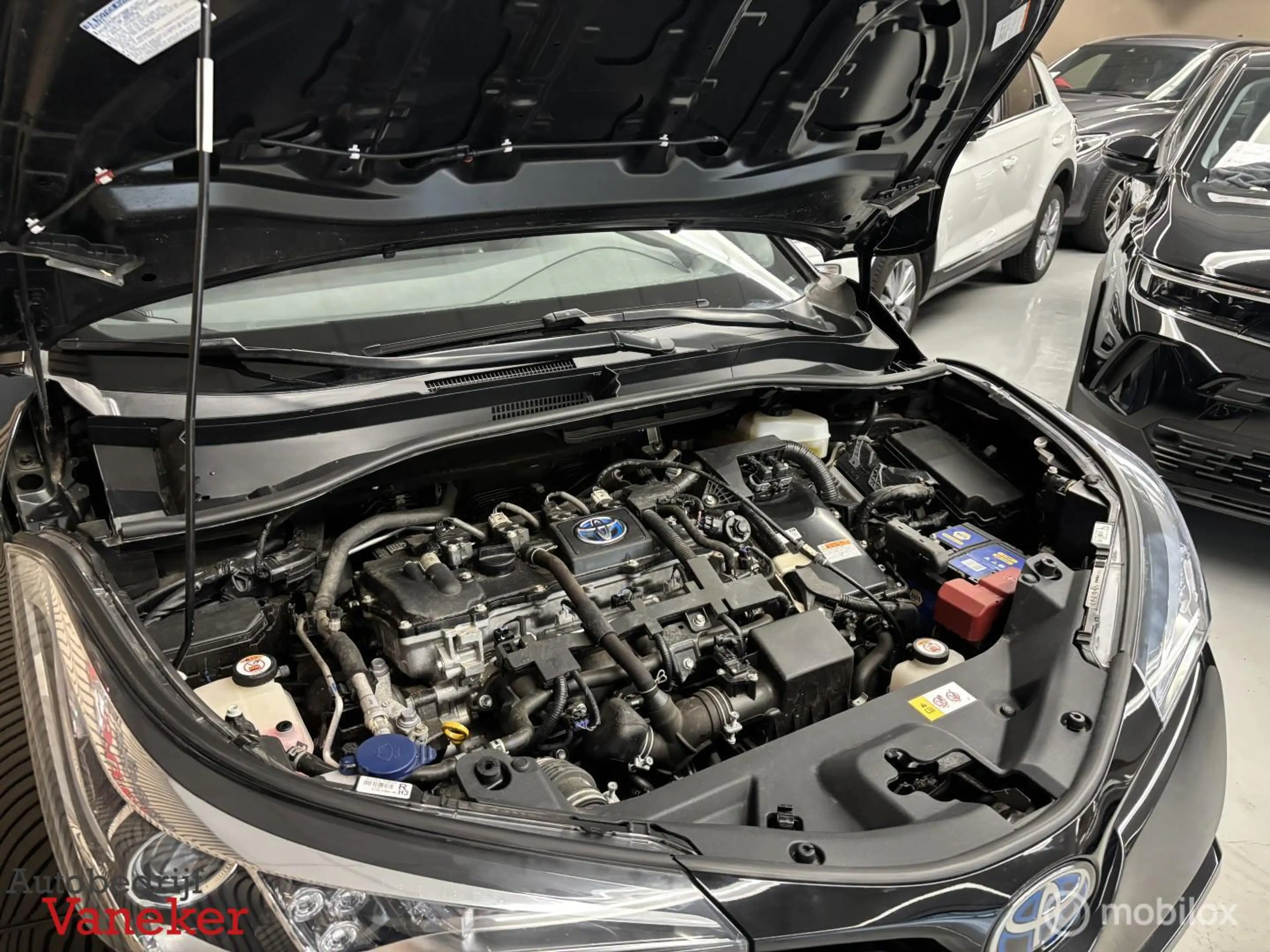 Toyota C-HR 1.8 Hybrid Team D|ACC|Stoel/Stuur verwarm|1e eig — photo 23