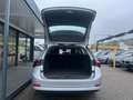 Skoda Octavia Combi 1,0 TSI Virtual-LED-Carplay Silber - thumbnail 15