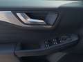 Ford Kuga 2,0 EcoBlue Hybrid Titanium X Aut. Schwarz - thumbnail 16