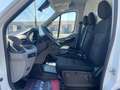Maxus Deliver 9 2.0 CRDI 150cv fwd PL-TN furgone + IVA Weiß - thumbnail 11