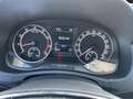 Skoda Fabia 1.0 MPI Cool Plus KLIMA*PDC*DAB+ Klima Blau - thumbnail 15