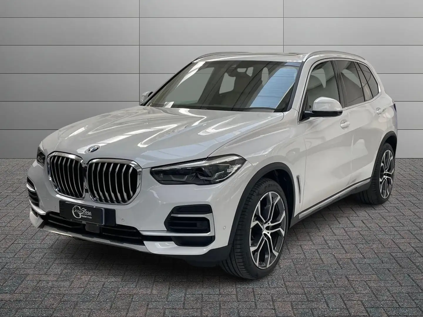 BMW X5 xdrive30d mhev 48V xLine auto Wit - 1