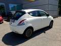 Lancia Ypsilon 1.0 FireFly 5 porte S&S Hybrid Platino Blanco - thumbnail 5